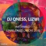 DJ Qness, Lizwi – ImithWalo (Unreleased Laroye Dub)