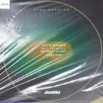 DVRK Henning – Elektronny