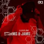 Lloyd BW – Storms & Jams