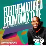 Tsebebe Moroke – For The Matured Promo Mixtape (100% Production Mix)