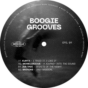 VA – Boogie Grooves 01 Mp3 Download