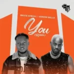 Bruce Africa – You (Remix) ft Korede Bello