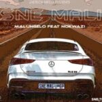 Malungelo – Sne Mali ft. Nokwazi