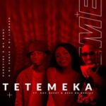 PureVibe, DJ Lindash, Ms Bune & DJ VansS – Tetemeka ft Kay Gee07 & Dess Da Deejay