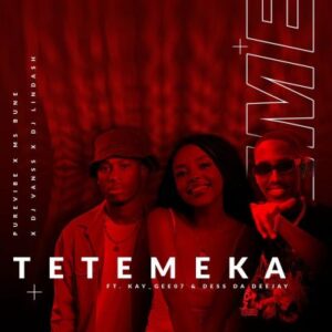 PureVibe, DJ Lindash, Ms Bune, DJ VansS, Kay_Gee07, Dess Da Deejay – Tetemeka Mp3 Download