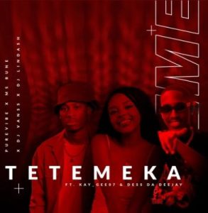 PureVibe, DJ Lindash, Ms Bune & DJ VansS – Tetemeka ft Kay Gee07 & Dess Da Deejay Mp3 Download