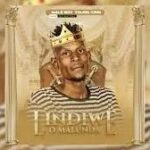 Lindiwe O Malunda – Nale Boy Young King ft DJ Mathu