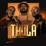 Nkanyezi Kubheka, Teddy & Salvation – Thula