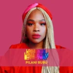 Pilani Bubu – The Conundrum