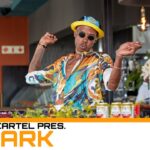 Q-Mark – Groove Cartel Amapiano Mix