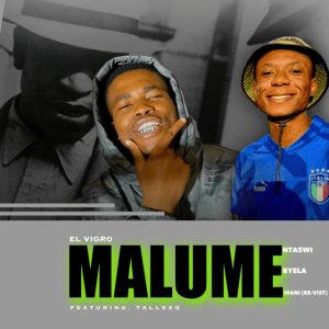 Elvirgo & TallexQ – Malume (Nta Swi Byela Mani Revisit) Mp3 Download