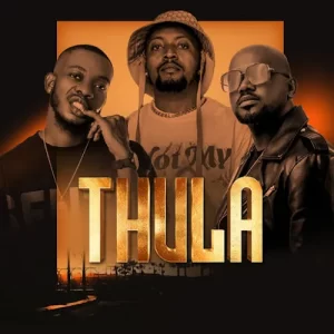 Nkanyezi Kubheka, Teddy & Salvation – Thula Mp3 Download