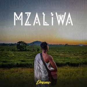 Driemo Mw – Reborn Mp3 Download