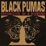 Black Pumas – Mrs. Postman