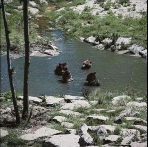 Candy Man Ft. Drumetic Boyz – Narrow