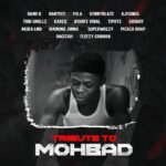 Damo K Ft. Harteez, Fola, Kennyblaze, Ajesings, Tobi Smallz, Kabex, Ayanfe Viral, Tiphyz, Shoday, Diamond jimma, Superwozzy, Picazo, Dagizah, Fleezy Gunman & Akikalmd – Tribute To Mohbad