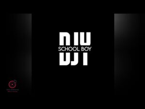 Djy School Boy – Hive