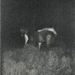 J Ember – Who Loves You