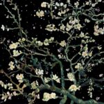 JVKE – this is what space feels like