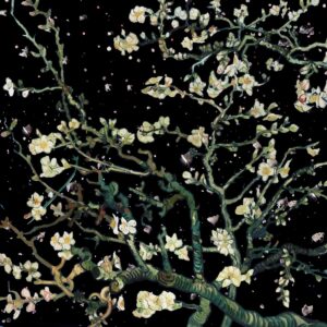 JVKE – this is what space feels like