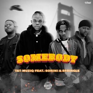 T&T MuziQ Ft. Sonini & Springle – Somebody