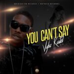 Vybz Kartel – You Can’t Say