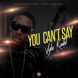 Vybz Kartel – You Can’t Say