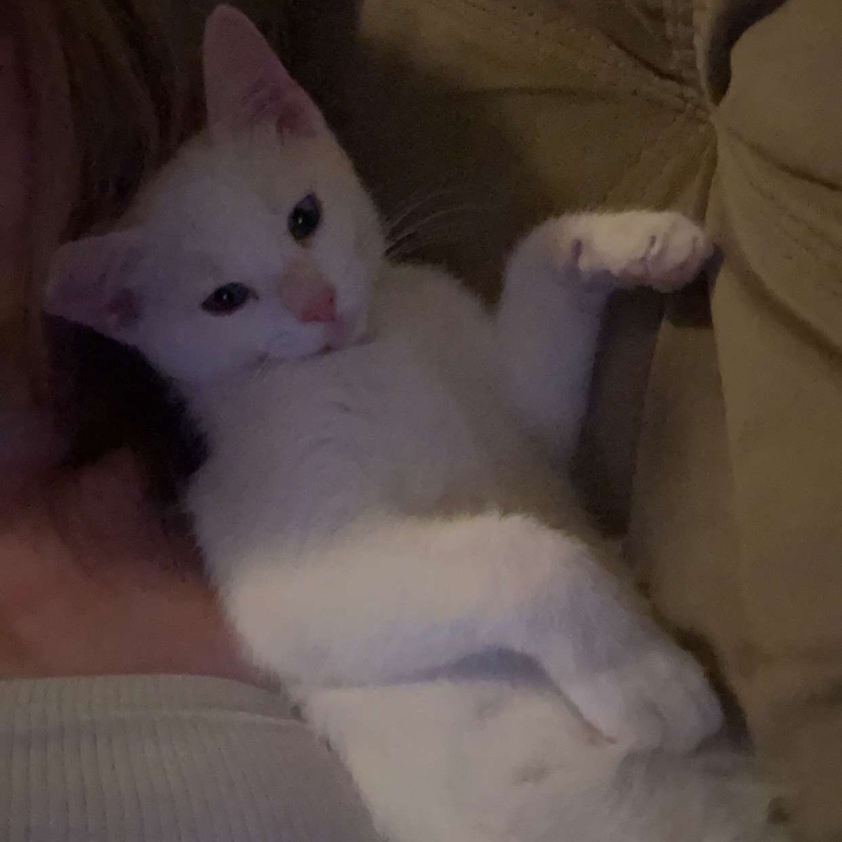 Billie Calvinn – Lose Me Mp3 Download