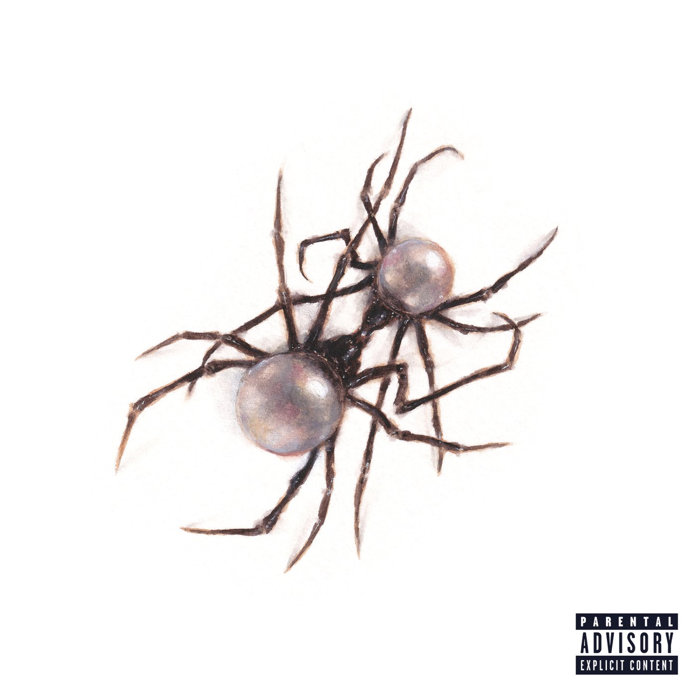 Doja Cat – 97 Mp3 Download