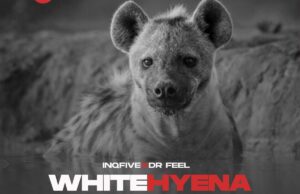 Dr Feel – White Hyena (Motivesoul Remix) Mp3 Download