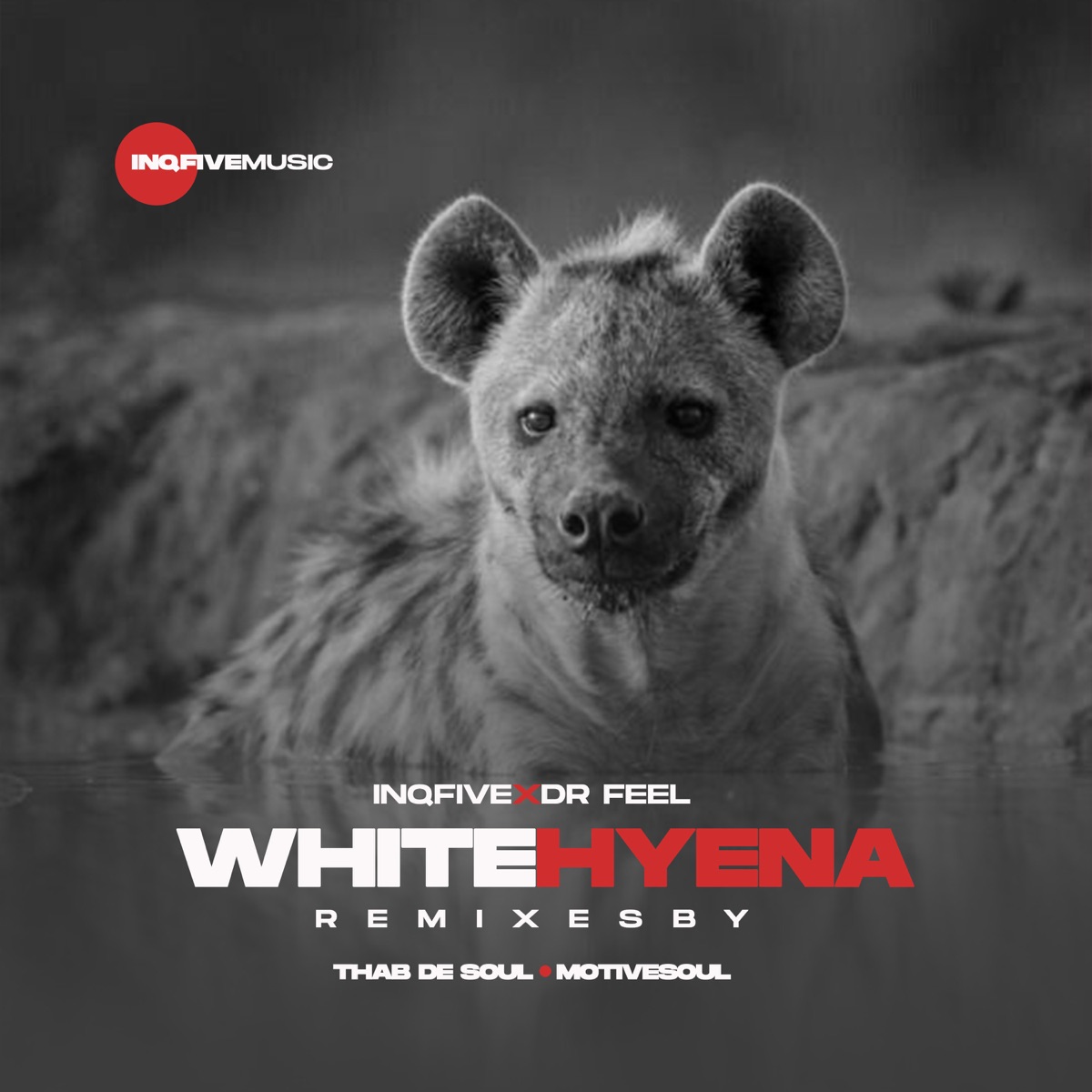 Dr Feel – White Hyena (Thab De Soul Remix) Mp3 Download