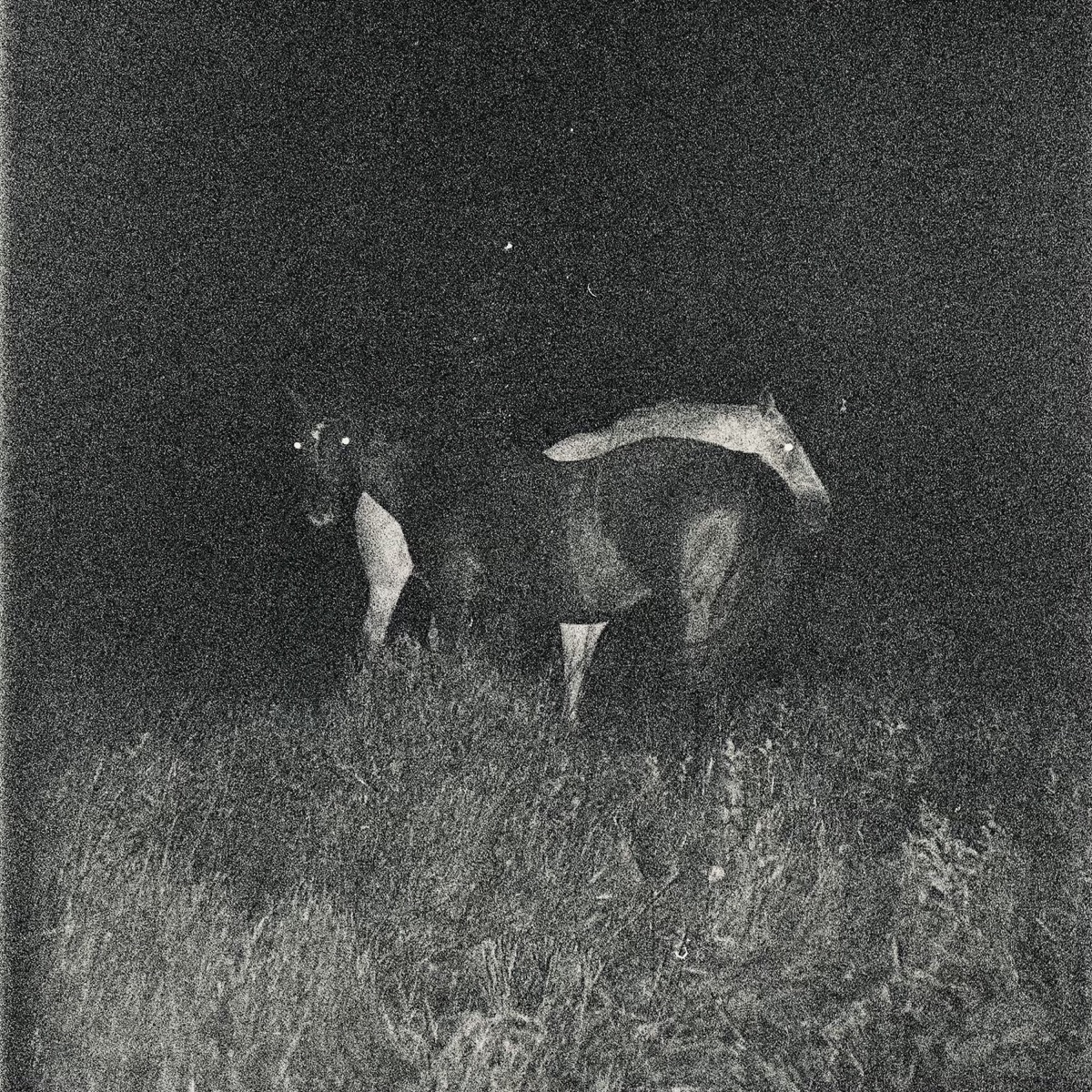 J Ember – Who Loves You Mp3 Download