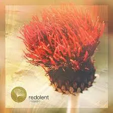 Kasango Leo Guardo & Leo Gira – Save a Prayer (Extended Mix) Mp3 Download