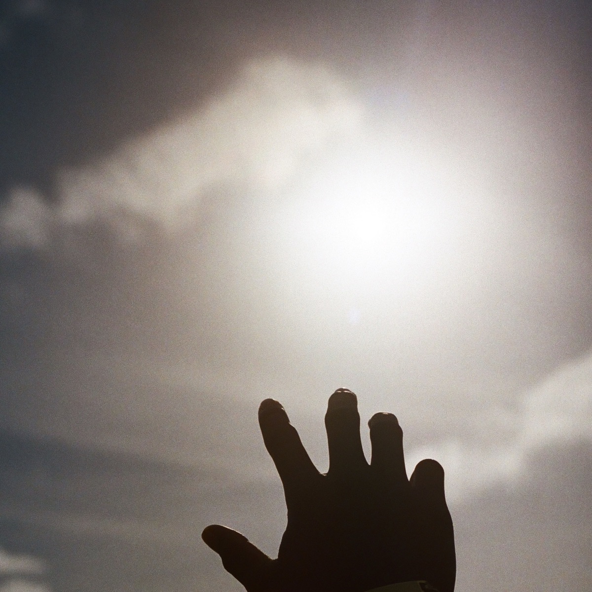 Lani Rose – Sink or Swim (SOS) Mp3 Download