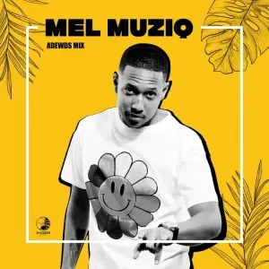 Mel Muziq – Adewds Mix Mp3 Download