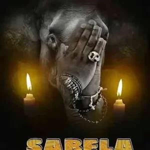 QuayR Musiq & LastbornDiroba – Sabela ft. Leemckrazy, Mellow & Sleazy Mp3 Download