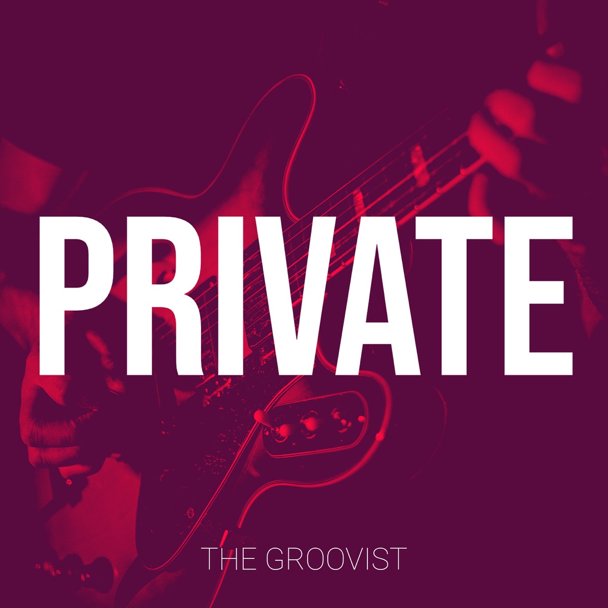 The Groovist – Private Mp3 Download
