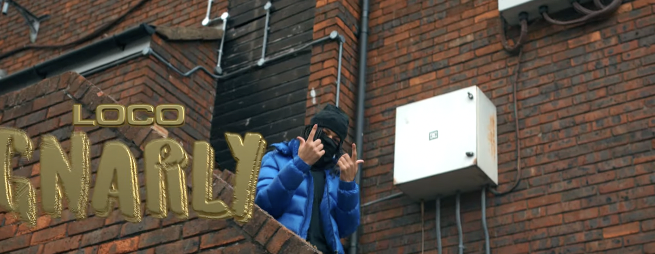 TPL Loco – Gnarly Mp3 Download