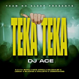 DJ Ace – Teka Teka ft. QuayR Musiq, Nate Africa, XolisoulMF, Leekay, Majestigg, Chillibite & Lesmahlanyeng Mp3 Download