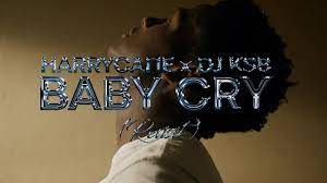 HarryCane & DJ KSB – Baby Cry (Revisit) Mp3 Download