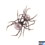 Doja Cat – Ouchies