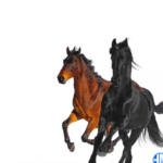 Lil Nas X – Old Town Road (Remix) ft Billy Ray Cyrus