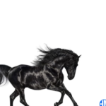 Lil Nas X – Old Town Road