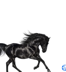 Lil Nas X – Old Town Road