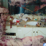 Pusha T – What Would Meek Do? ft Kanye West