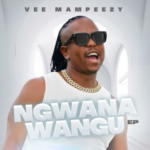 VEE MAMPEEZY x DJ NGWAZI x DJ MAPUTO – MMAMPUDI
