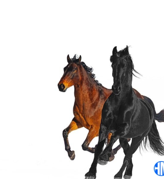Lil Nas X – Old Town Road (Remix) ft Billy Ray Cyrus Mp3 Download