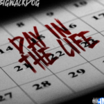 BigWalkDog – Day in the Life