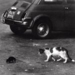 Conway The Machine & Wun Two – Carduni