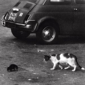 Conway The Machine & Wun Two – Carduni